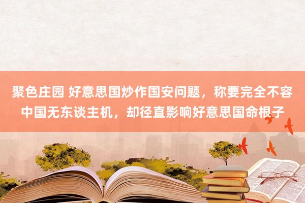 聚色庄园 好意思国炒作国安问题，称要完全不容中国无东谈主机，却径直影响好意思国命根子