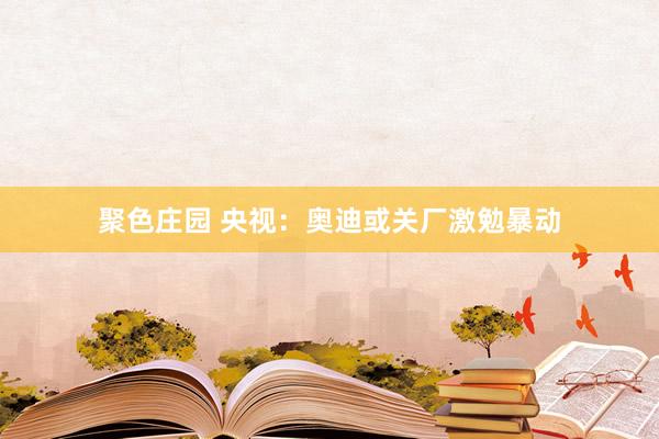 聚色庄园 央视：奥迪或关厂激勉暴动