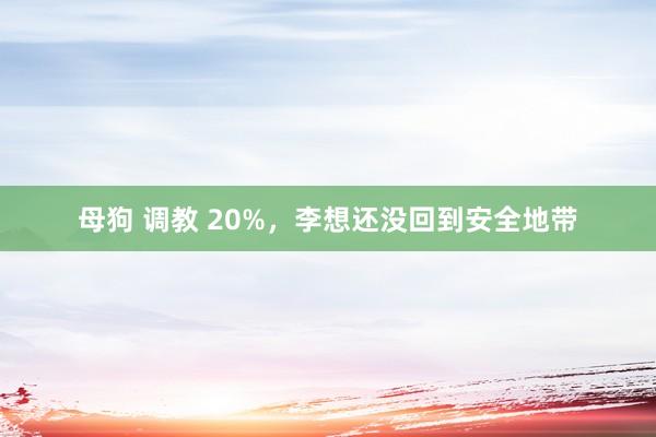母狗 调教 20%，李想还没回到安全地带