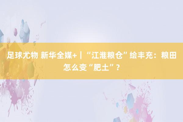 足球尤物 新华全媒+｜“江淮粮仓”绘丰充：粮田怎么变“肥土”？