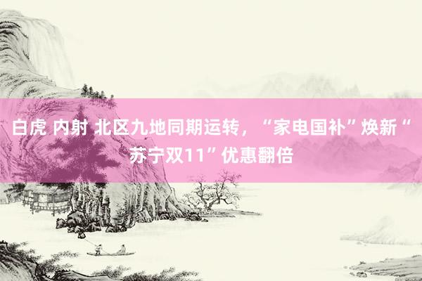 白虎 内射 北区九地同期运转,“家电国补”焕新“苏宁双11”优惠翻倍