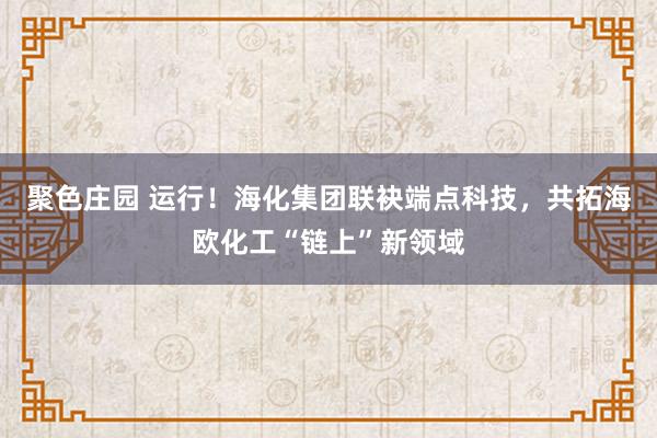 聚色庄园 运行!海化集团联袂端点科技,共拓海欧化工“链上”新领域