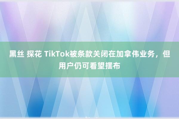 黑丝 探花 TikTok被条款关闭在加拿伟业务，但用户仍可看望摆布