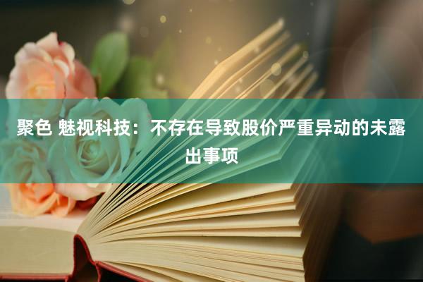 聚色 魅视科技：不存在导致股价严重异动的未露出事项