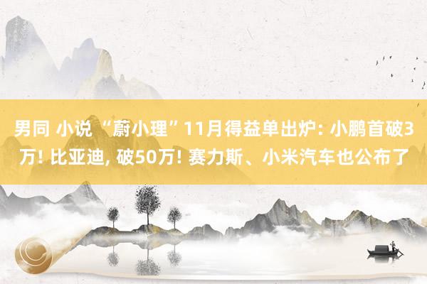 男同 小说 “蔚小理”11月得益单出炉: 小鹏首破3万! 比亚迪， 破50万! 赛力斯、小米汽车也公布了
