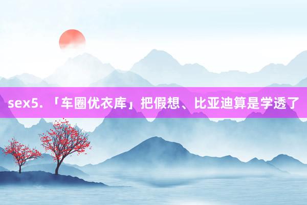 sex5. 「车圈优衣库」把假想、比亚迪算是学透了