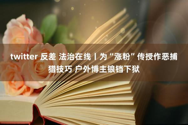 twitter 反差 法治在线丨为“涨粉”传授作恶捕猎技巧 户外博主锒铛下狱