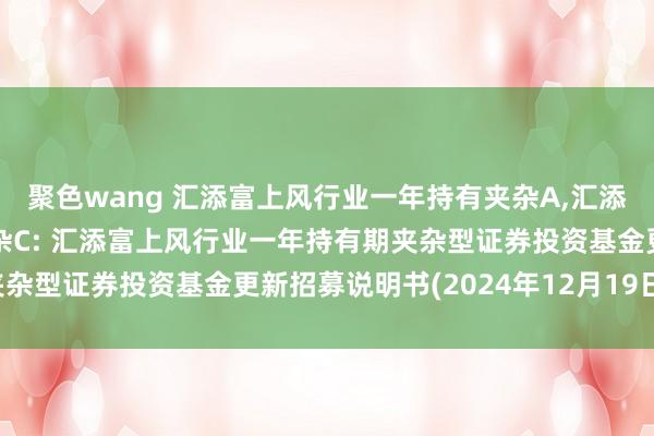 聚色wang 汇添富上风行业一年持有夹杂A,汇添富上风行业一年持有夹杂C: 汇添富上风行业一年持有期夹杂型证券投资基金更新招募说明书(2024年12月19日更新)