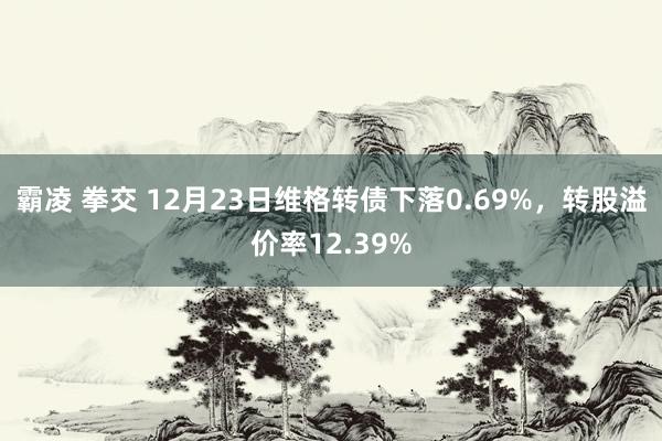 霸凌 拳交 12月23日维格转债下落0.69%，转股溢价率12.39%