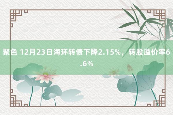 聚色 12月23日海环转债下降2.15%，转股溢价率6.6%