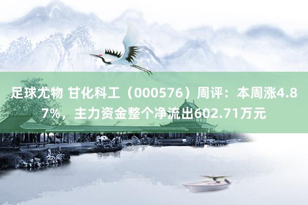 足球尤物 甘化科工（000576）周评：本周涨4.87%，主力资金整个净流出602.71万元