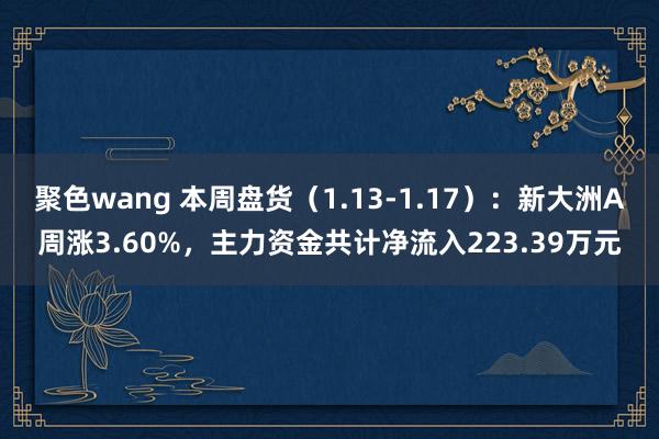 聚色wang 本周盘货（1.13-1.17）：新大洲A周涨3.60%，主力资金共计净流入223.39万元