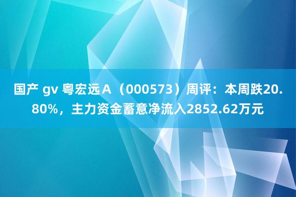 国产 gv 粤宏远Ａ（000573）周评：本周跌20.80%，主力资金蓄意净流入2852.62万元