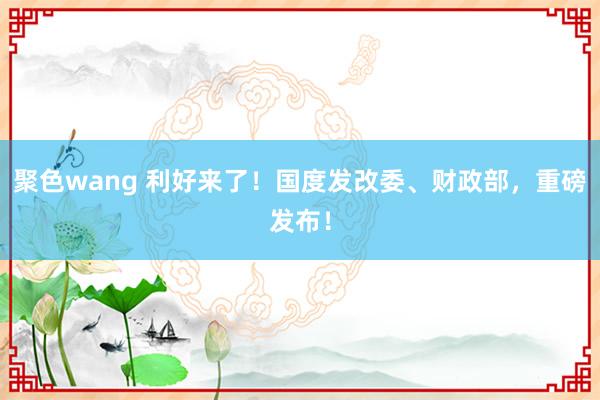 聚色wang 利好来了！国度发改委、财政部，重磅发布！