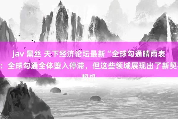 jav 黑丝 天下经济论坛最新“全球勾通晴雨表”：全球勾通全体堕入停滞，但这些领域展现出了新契机
