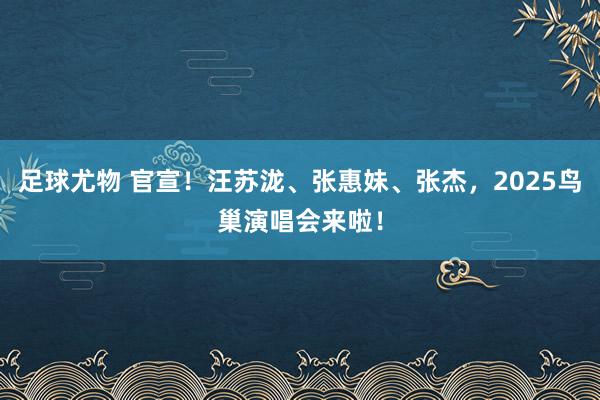 足球尤物 官宣！汪苏泷、张惠妹、张杰，2025鸟巢演唱会来啦！