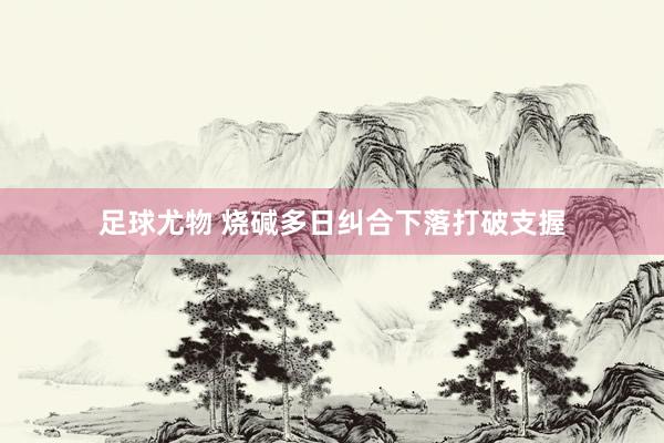 足球尤物 烧碱多日纠合下落打破支握