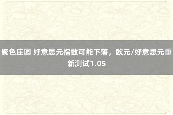 聚色庄园 好意思元指数可能下落，欧元/好意思元重新测试1.05