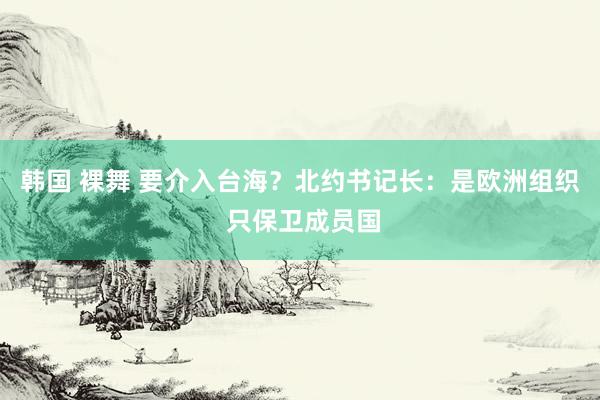 韩国 裸舞 要介入台海？北约书记长：是欧洲组织 只保卫成员国
