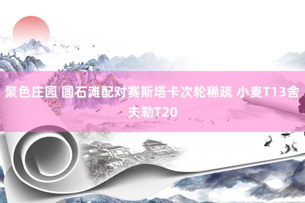 聚色庄园 圆石滩配对赛斯塔卡次轮稀疏 小麦T13舍夫勒T20