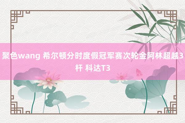 聚色wang 希尔顿分时度假冠军赛次轮金阿林超越3杆 科达T3