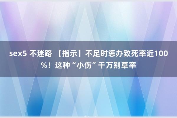sex5 不迷路 【指示】不足时惩办致死率近100%！这种“小伤”千万别草率