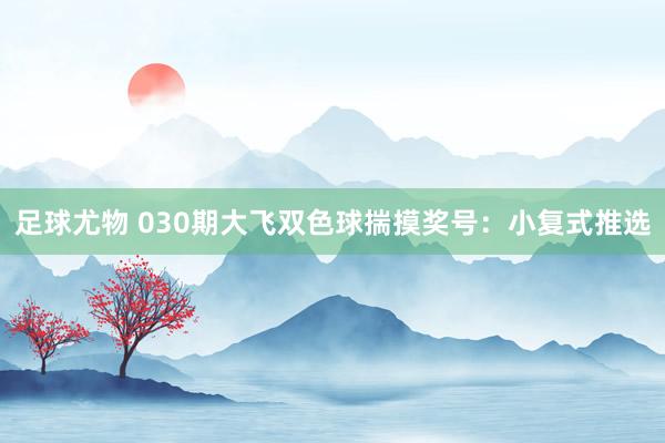 足球尤物 030期大飞双色球揣摸奖号：小复式推选