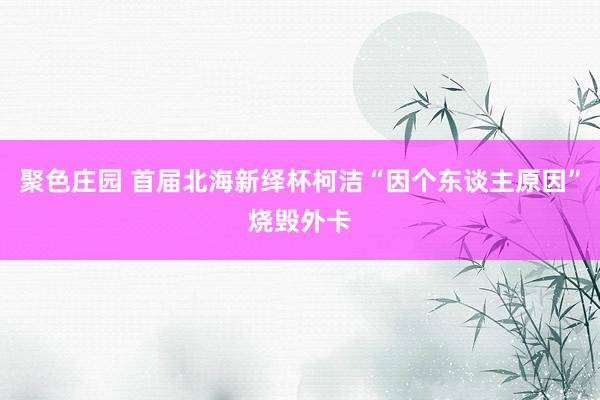 聚色庄园 首届北海新绎杯柯洁“因个东谈主原因”烧毁外卡