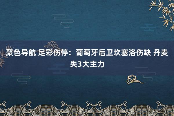 聚色导航 足彩伤停：葡萄牙后卫坎塞洛伤缺 丹麦失3大主力