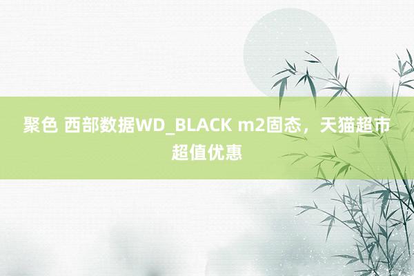 聚色 西部数据WD_BLACK m2固态，天猫超市超值优惠