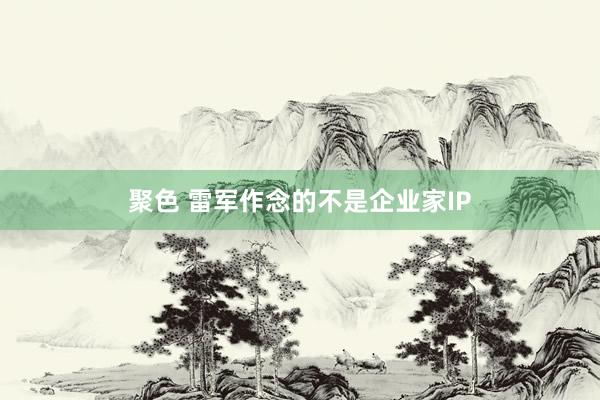 聚色 雷军作念的不是企业家IP