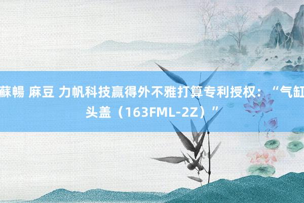 蘇暢 麻豆 力帆科技赢得外不雅打算专利授权：“气缸头盖（163FML-2Z）”