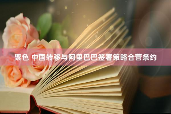 聚色 中国转移与阿里巴巴签署策略合营条约