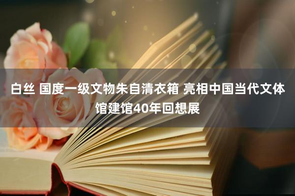 白丝 国度一级文物朱自清衣箱 亮相中国当代文体馆建馆40年回想展