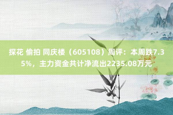 探花 偷拍 同庆楼（605108）周评：本周跌7.35%，主力资金共计净流出2235.08万元