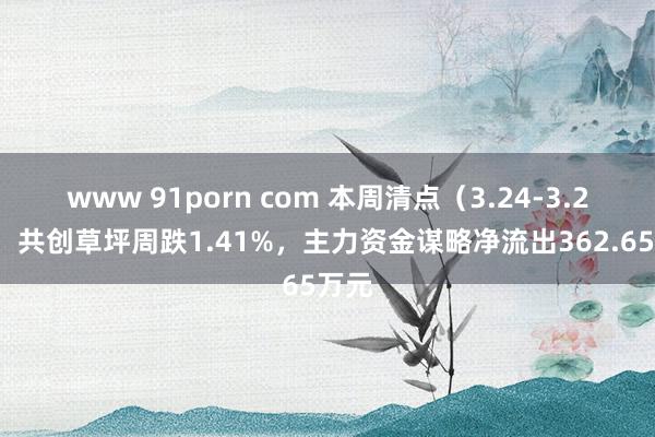 www 91porn com 本周清点（3.24-3.28）：共创草坪周跌1.41%，主力资金谋略净流出362.65万元