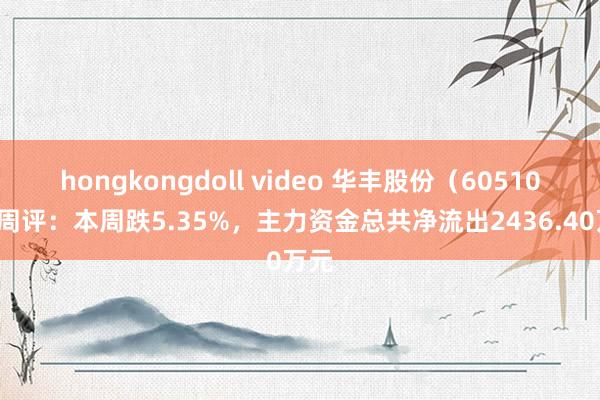 hongkongdoll video 华丰股份（605100）周评：本周跌5.35%，主力资金总共净流出2436.40万元