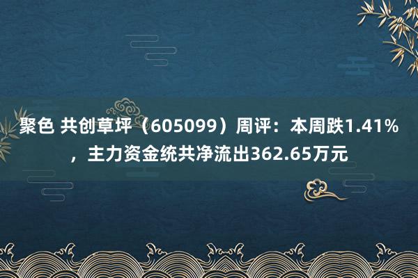 聚色 共创草坪（605099）周评：本周跌1.41%，主力资金统共净流出362.65万元