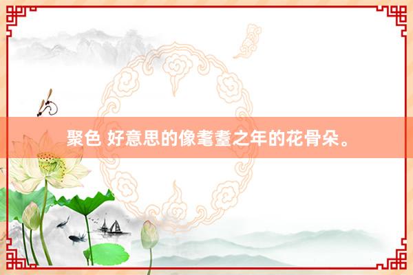 聚色 好意思的像耄耋之年的花骨朵。