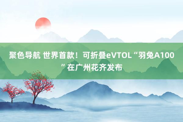 聚色导航 世界首款！可折叠eVTOL“羽兔A100”在广州花齐发布