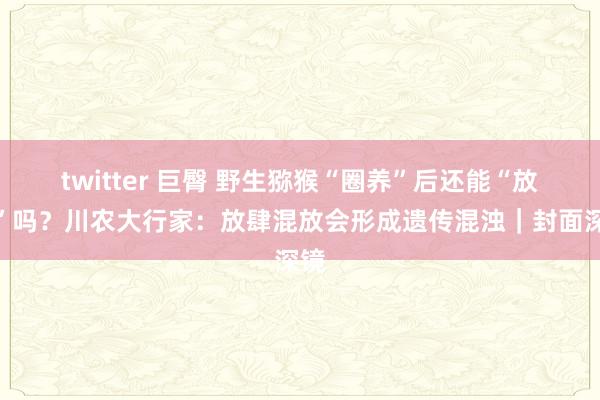 twitter 巨臀 野生猕猴“圈养”后还能“放归”吗？川农大行家：放肆混放会形成遗传混浊｜封面深镜