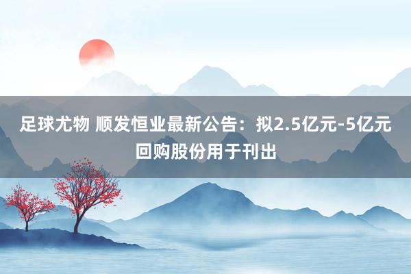 足球尤物 顺发恒业最新公告：拟2.5亿元-5亿元回购股份用于刊出