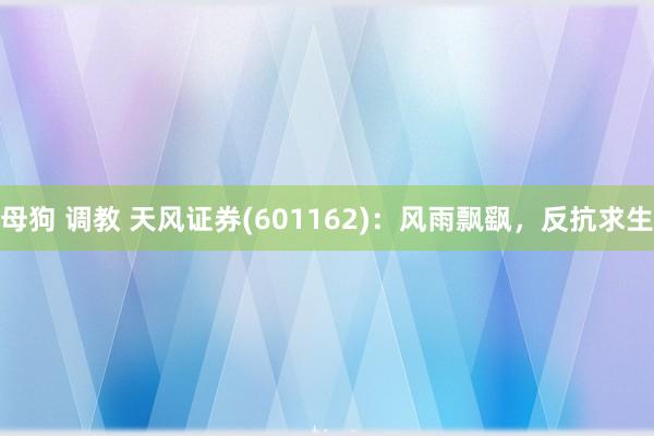 母狗 调教 天风证券(601162)：风雨飘飖，反抗求生