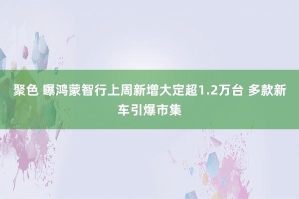 聚色 曝鸿蒙智行上周新增大定超1.2万台 多款新车引爆市集