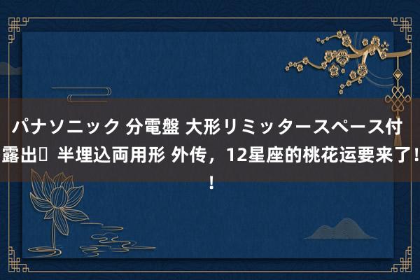 パナソニック 分電盤 大形リミッタースペース付 露出・半埋込両用形 外传，12星座的桃花运要来了！