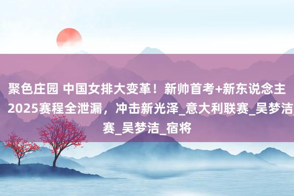聚色庄园 中国女排大变革！新帅首考+新东说念主考研，2025赛程全泄漏，冲击新光泽_意大利联赛_吴梦洁_宿将