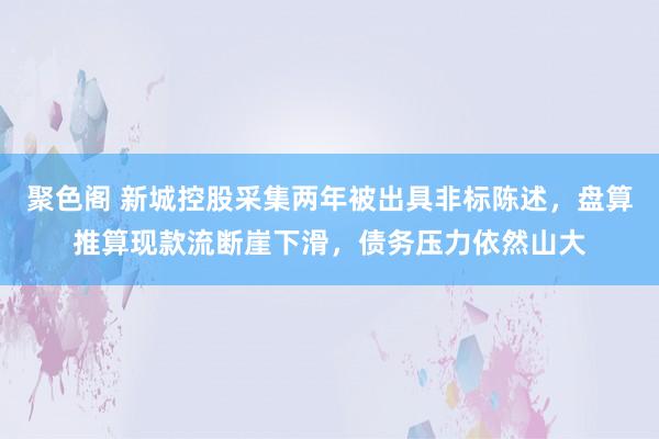 聚色阁 新城控股采集两年被出具非标陈述，盘算推算现款流断崖下滑，债务压力依然山大