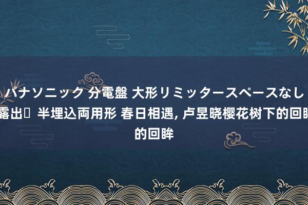 パナソニック 分電盤 大形リミッタースペースなし 露出・半埋込両用形 春日相遇， 卢昱晓樱花树下的回眸