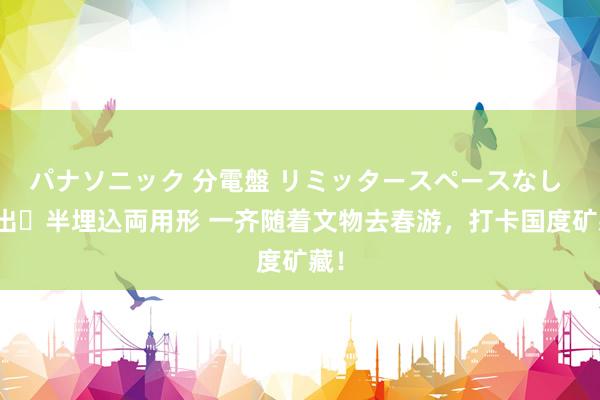 パナソニック 分電盤 リミッタースペースなし 露出・半埋込両用形 一齐随着文物去春游，打卡国度矿藏！