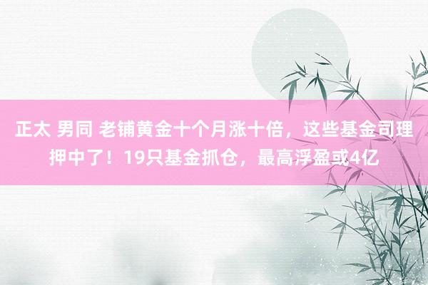 正太 男同 老铺黄金十个月涨十倍，这些基金司理押中了！19只基金抓仓，最高浮盈或4亿